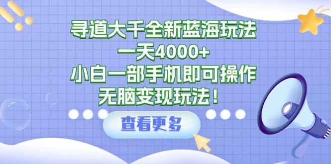 寻道大千全新蓝海玩法，一天4000+，小白一部手机即可操作，无脑变现玩法！-小白网创资源网