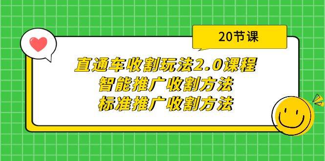 直通车收割玩法2.0课程：智能推广收割方法+标准推广收割方法（20节课）-小白网创资源网