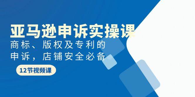 亚马逊-申诉实战课，商标、版权及专利的申诉，店铺安全必备-小白网创资源网