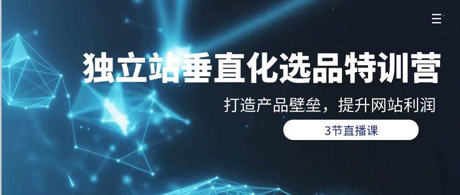 独立站-垂直化选品训练营，打造产品壁垒，提升网站利润（3节直播课）-小白网创资源网