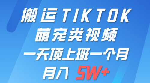 一键搬运TIKTOK萌宠类视频 一部手机即可操作 所有平台均可发布 轻松月入5W+-小白网创资源网
