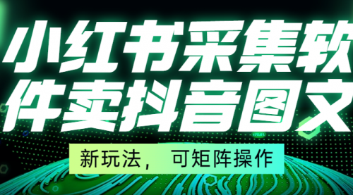 小红书采集软件卖抖音图文，新玩法， 可矩阵操作-小白网创资源网