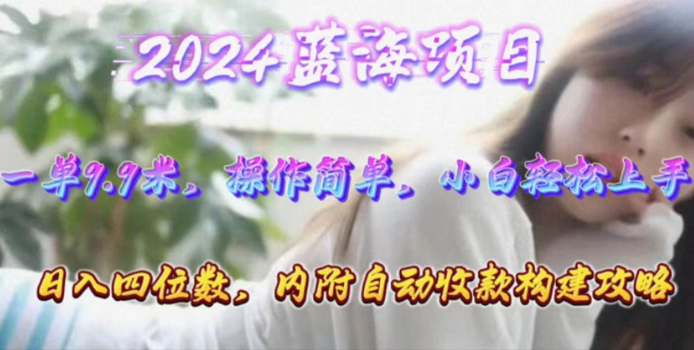 年轻群体的蓝海市场，1单9.9元，操作简单，小白轻松上手-小白网创资源网