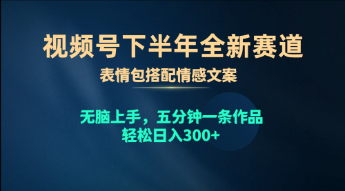 视频号下半年全新赛道，表情包搭配情感文案 无脑上手，五分钟一条作品-小白网创资源网