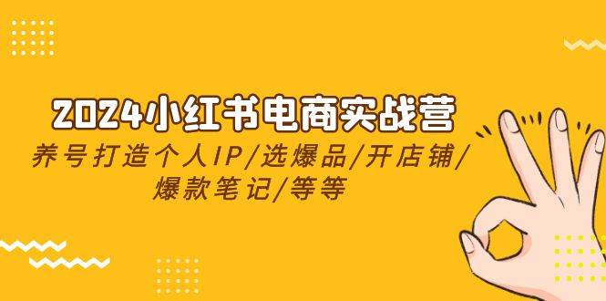 2024小红书电商实战营，养号打造IP/选爆品/开店铺/爆款笔记/等等（24节）-小白网创资源网
