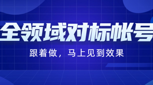 全领域对标帐号-小白网创资源网