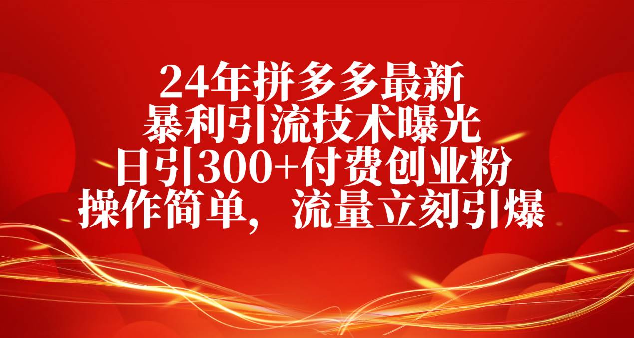 24年PDD最新引流技术曝光-小白网创资源网