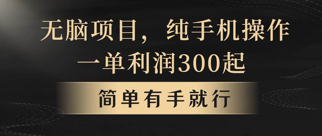 无脑项目，一单几百块，轻松一个月5w+，看完就能直接操作-小白网创资源网