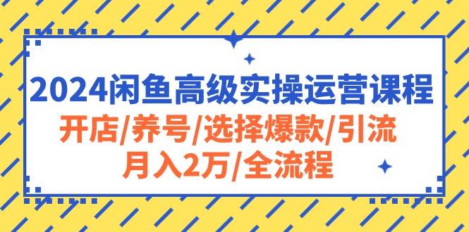 2024闲鱼高级实操运营课程：开店/养号/选择爆款/引流/一个月2万/全流程-小白网创资源网