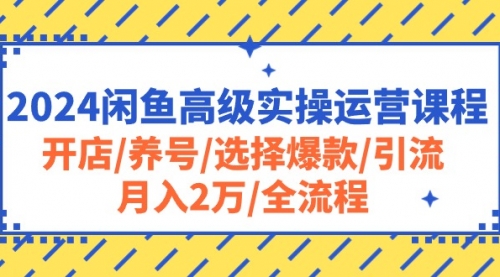 2024闲鱼高级实操运营课程：开店/养号/选择爆款/引流/月入2万/全流程-小白网创资源网