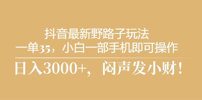 抖音最新野路子玩法，一单35，小白一部手机即可操作-小白网创资源网