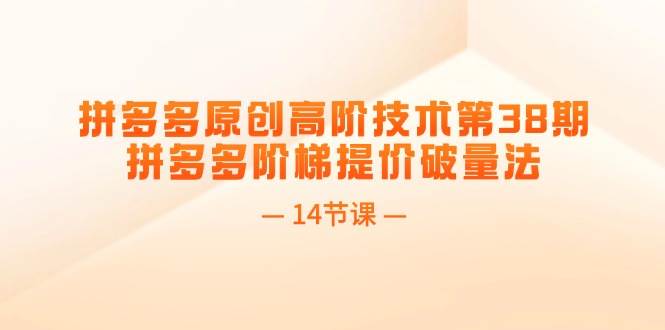 拼多多原创高阶技术第38期，拼多多阶梯提价破量法（14节课）-小白网创资源网