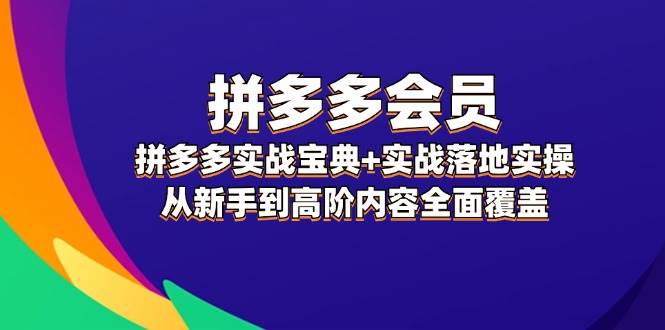 拼多多 会员，拼多多实战宝典+实战落地实操，从新手到高阶内容全面覆盖-小白网创资源网