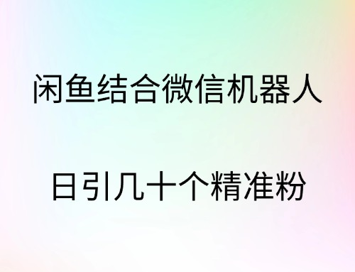 闲鱼结合微信机器人，日引几十个精准粉-小白网创资源网