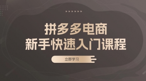 拼多多电商新手快速入门课程：涵盖基础、实战与选款，助力小白轻松上手-小白网创资源网