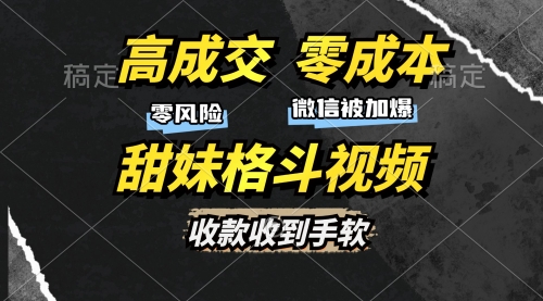 高成交零成本，售卖甜妹格斗视频，谁发谁火，加爆微信，收款收到手软-小白网创资源网