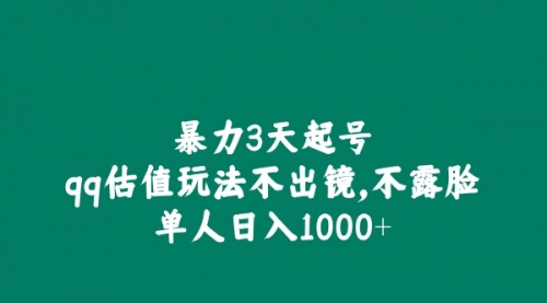全新暴力3天起号qq估值玩法，不出镜，不露脸，单人日入1000+-小白网创资源网