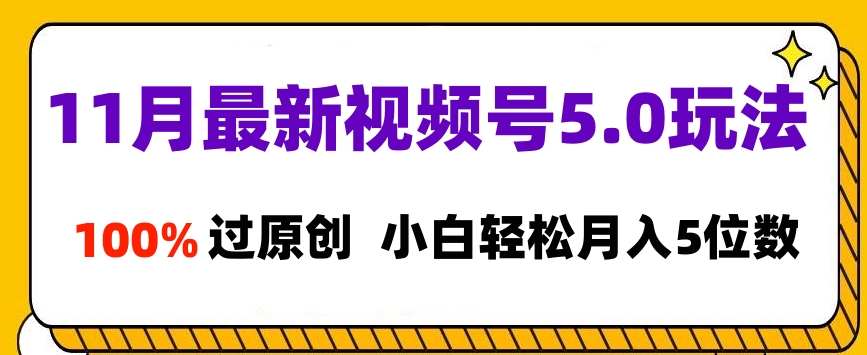 11月最新视频号5.0玩法-小白网创资源网