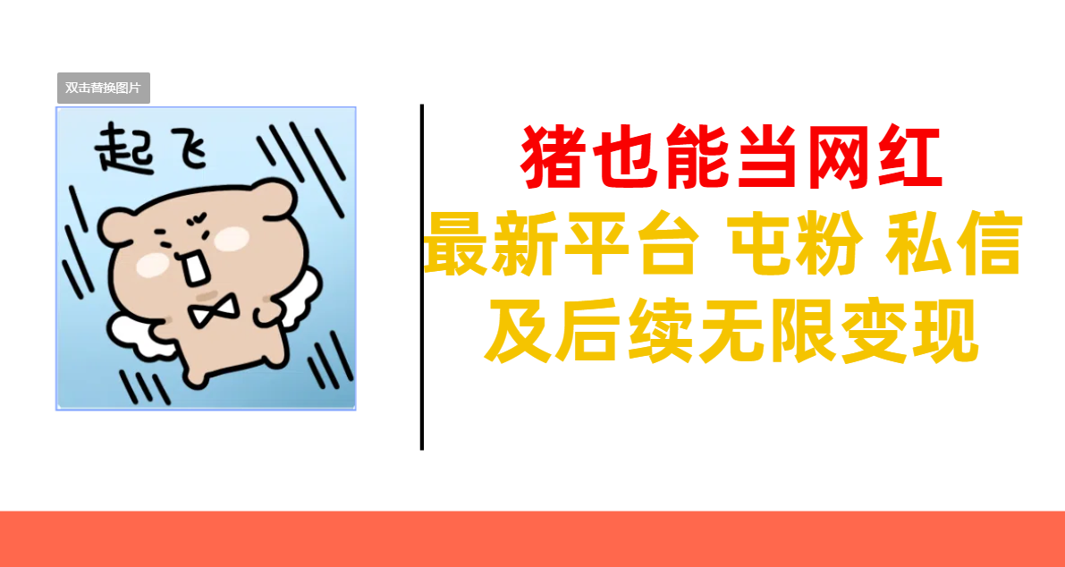 猪也能当网红-最新平台-小白网创资源网